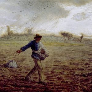 FIFTEENTH SUNDAY IN ORDINARY TIME – July 12, 2026